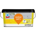 Weber FI