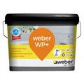 Weber FI