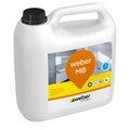 Weber FI