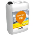 Weber FI