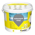 Weber FI