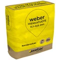 Weber FI