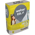 Weber FI