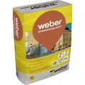 Weber FI