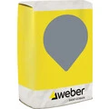 Weber FI