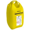 Weber FI