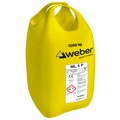 Weber FI