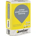 Weber FI