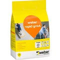 Weber FI