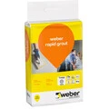 Weber FI