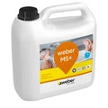 Weber FI