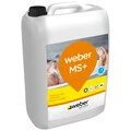 Weber FI