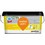Weber FI