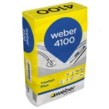 Weber FI
