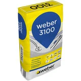 Weber FI