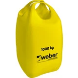 Weber FI