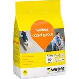 Weber FI