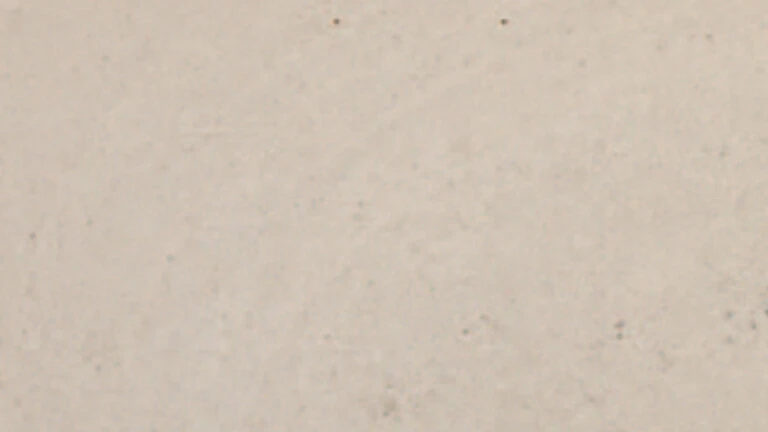 F20 Beige