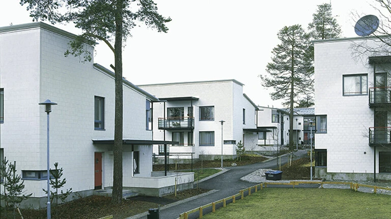 Kahi 50 v.