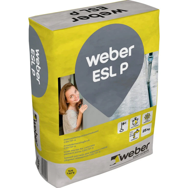 Weber FI