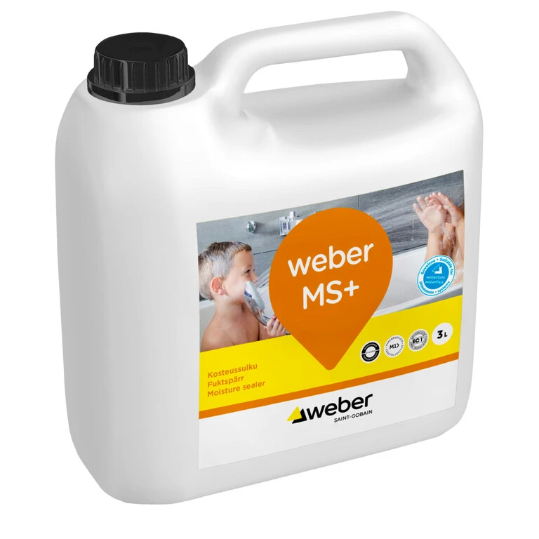 Weber FI